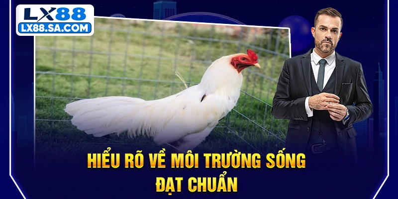Hiểu rõ về môi trường sống đạt chuẩn