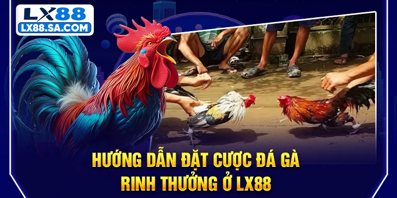 Hướng dẫn đặt cược đá gà rinh thưởng ở LX88