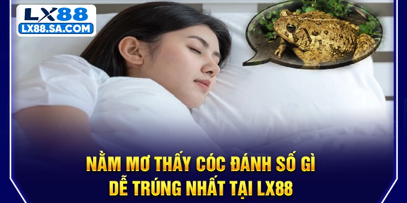 Nằm mơ thấy cóc đánh số gì dễ trúng nhất tại LX88
