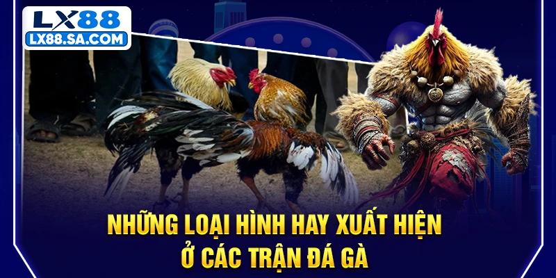 Những loại hình hay xuất hiện ở các trận đá gà