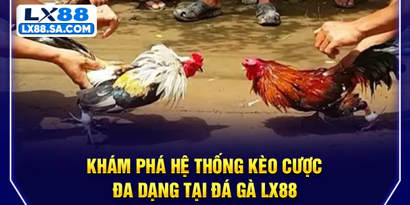 Khám phá hệ thống kèo cược đa dạng tại Đá gà LX88